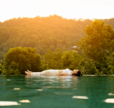 MODULE 2 - GOING DEEPER - Online Yoga Nidra Modules - Online Yoga Teacher Training - Santosha Yoga Institute