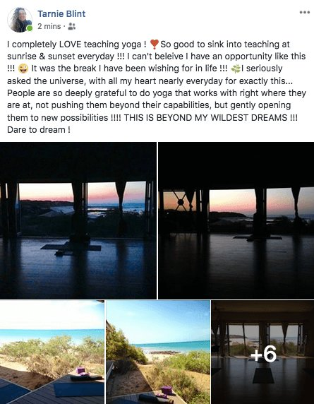 tarnie blint review image