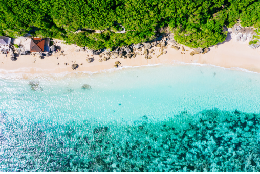Santosha Yoga - Yoga Teacher Trainings - Tropical Paradise from Above