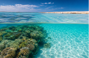 Crystal-clear Swimming